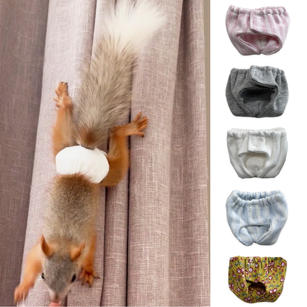 ผ้าอ้อมกระต่ายแบบซึมซับ ป้องกั - Period Panty Absorbent บทวิจารณ์และราคา